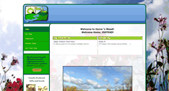 Desktop Screenshot of home-n-stead.com